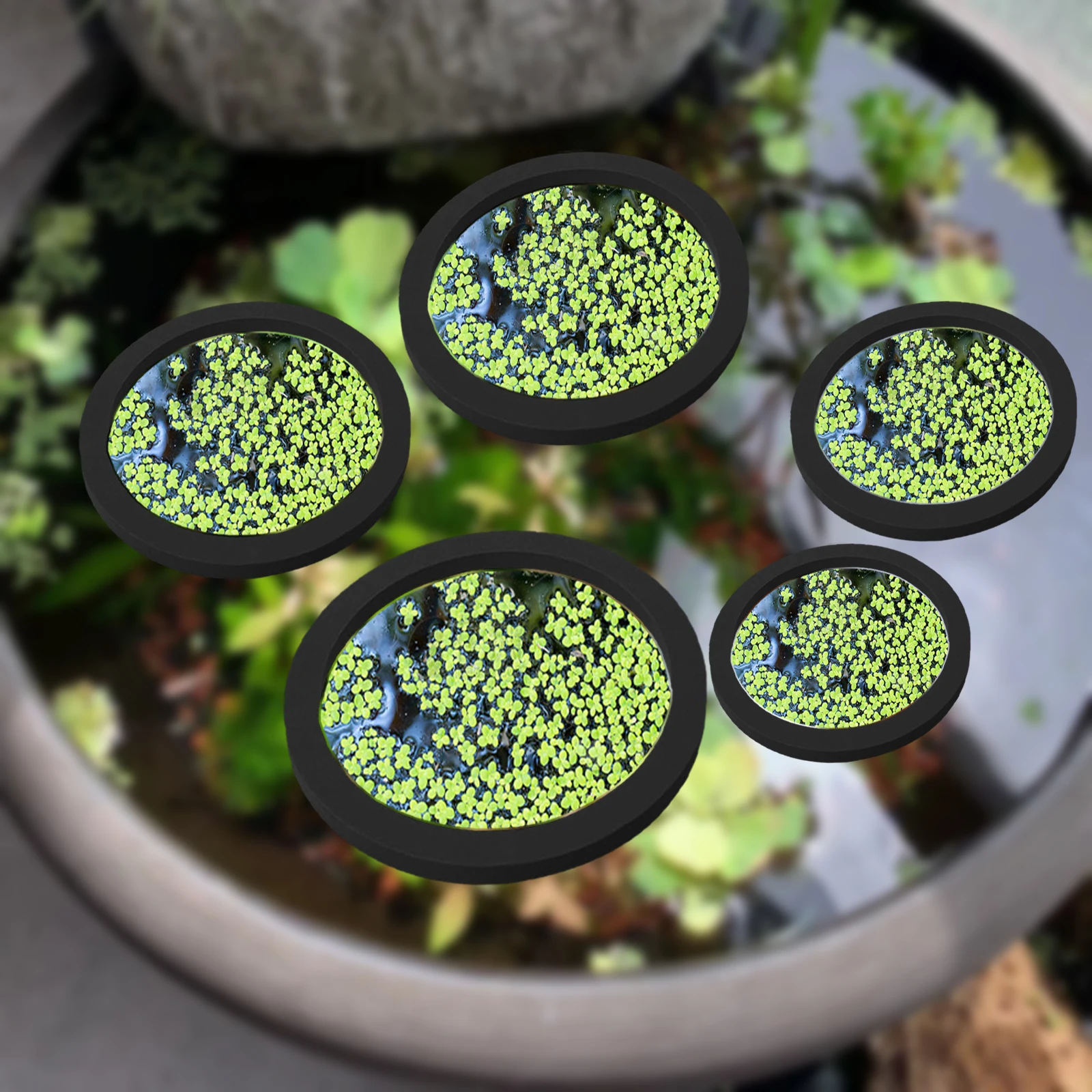 Aquarium Fish Tank - 5Pcs EVA Fisch Fütterung Ring Aquarium