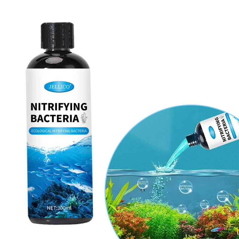 Aquarium Fish Items - Nitrifizierende Bakterien Flüssiges Aquarium Wasserreiniger Aquarium