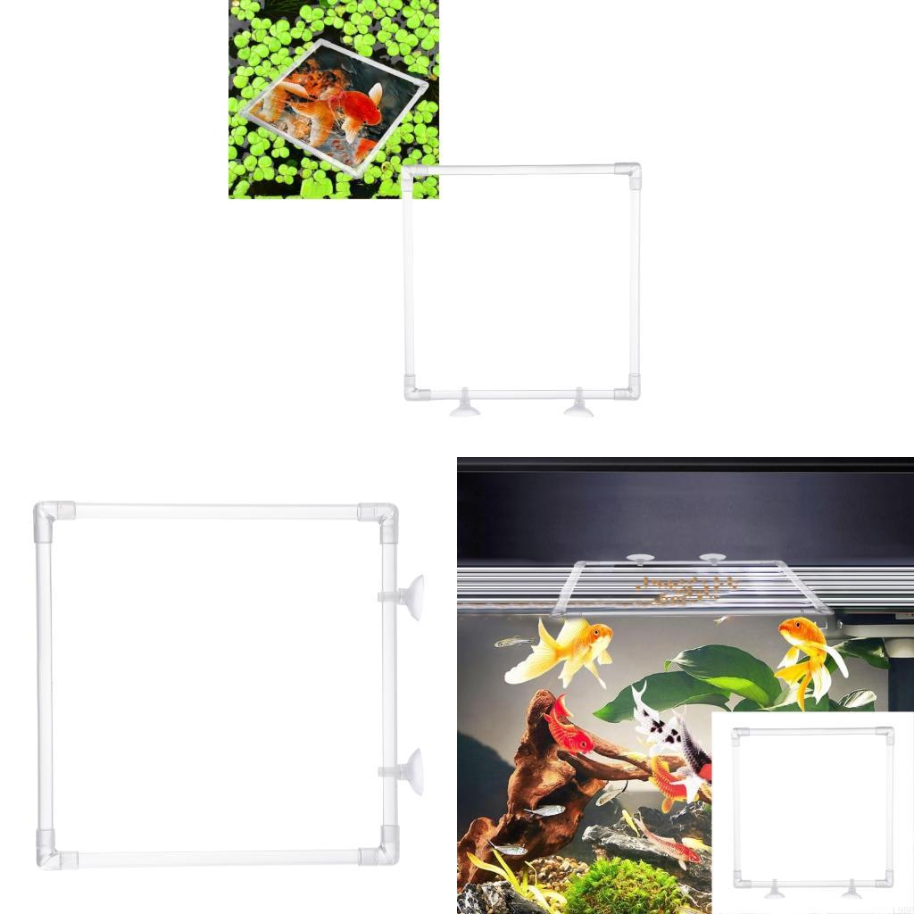 Aquarium Fish Food - L9BE Antidrift Aquarien Futterspender Acryl Futtergehege
