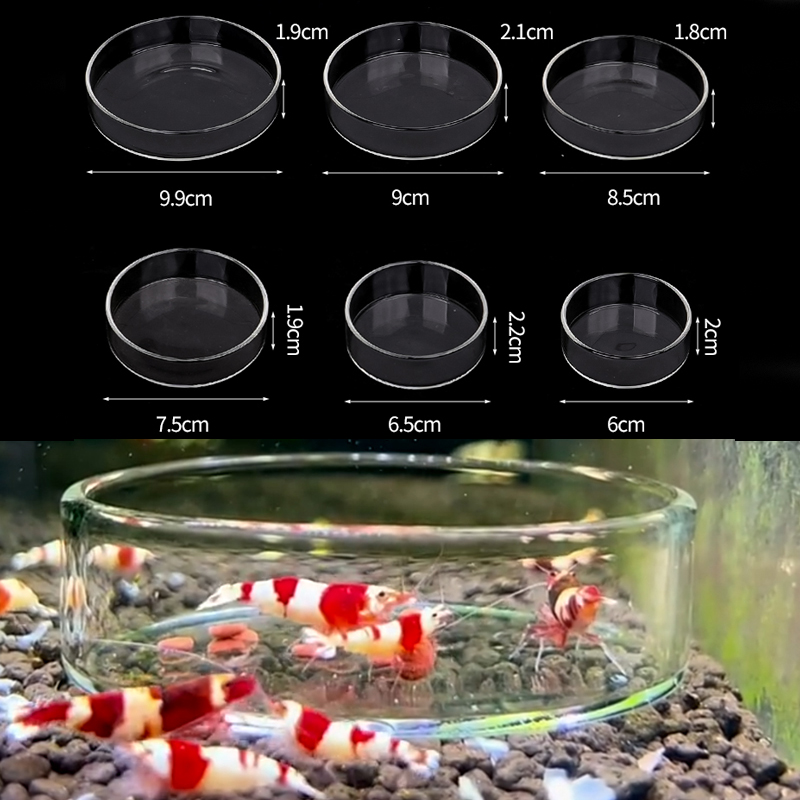 Aquarium Fish Food - Garnelen Futternapf Hohe Transparente Glas Futternapf