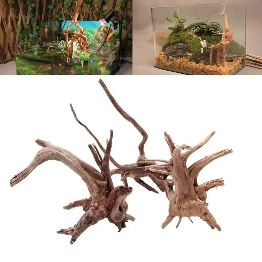 Aquarium Fish Types - (15-20cm) Natürliches Treibholz-Aquariumdekor - Hochwertige Holzdekoration