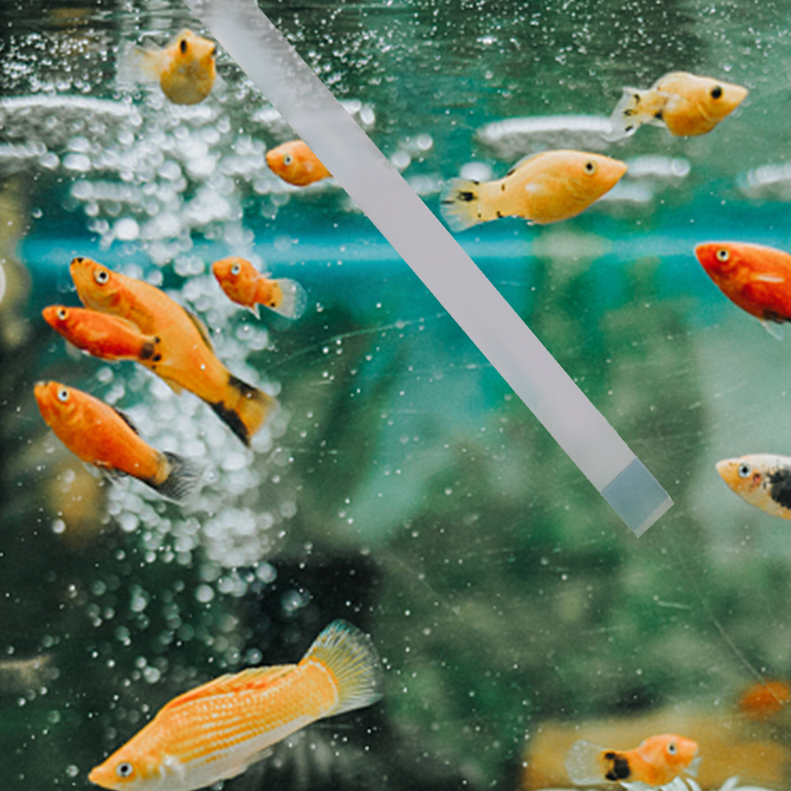 Aquarium Fish Pond - Schwimmbad-Teststreifen, Whirlpool-Spa-pH-Tester, Teichwasser-Teststreifen, Aquarium-Fischbecken-Wasserqualitätsprüfgerät