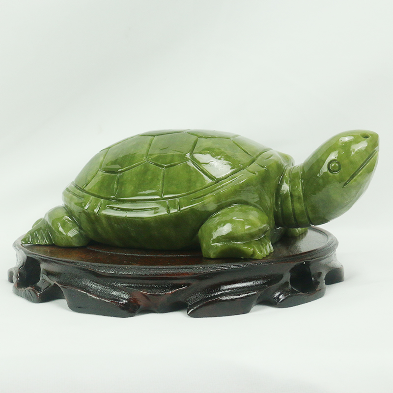 Natürliche Jade/Schildkröte Sk – Aquarium Fish Types Bewertung und Preis