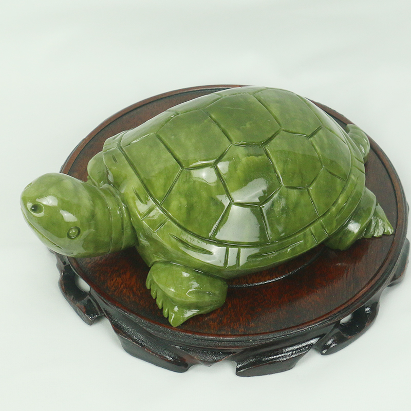 Natürliche Jade/Schildkröte Sk – Aquarium Fish Types Bewertung und Preis