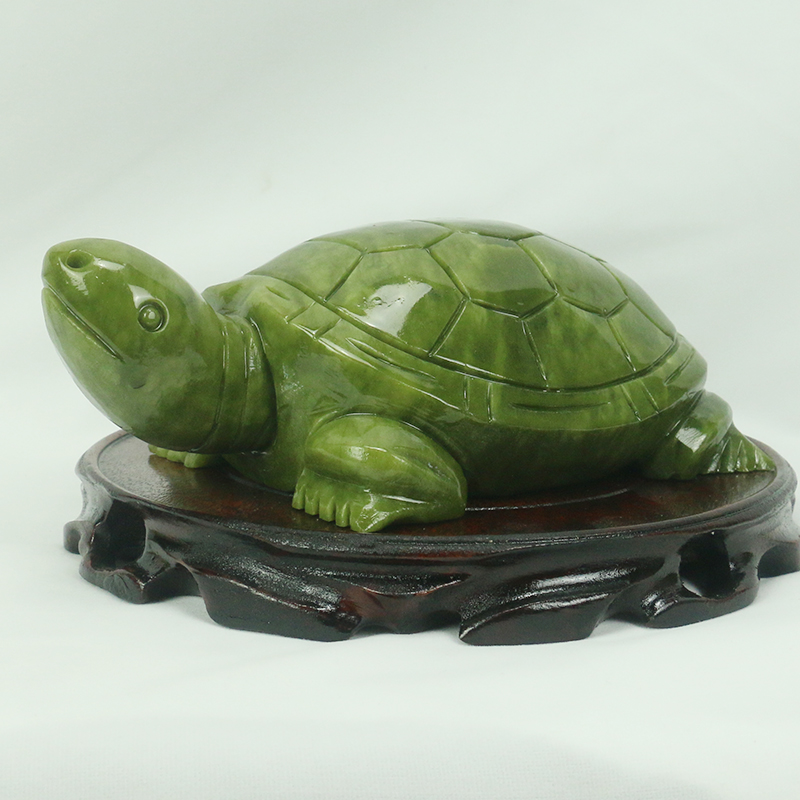 Natürliche Jade/Schildkröte Sk – Aquarium Fish Types Bewertung und Preis