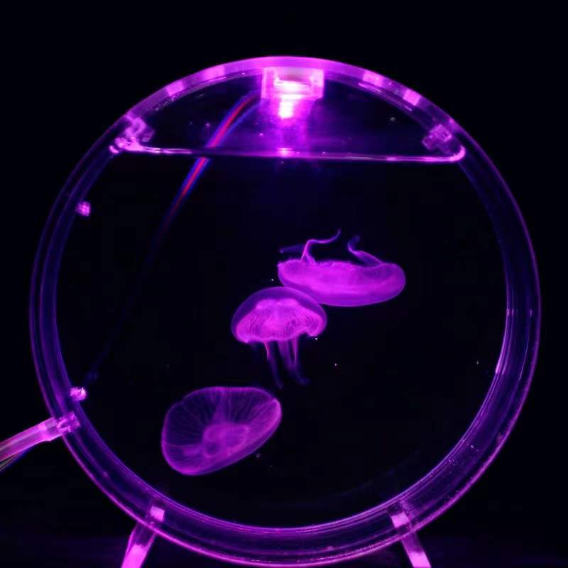 Aquarium desktop jellyfish tan – Aquarium Fish In Bowl Bewertung und Preis