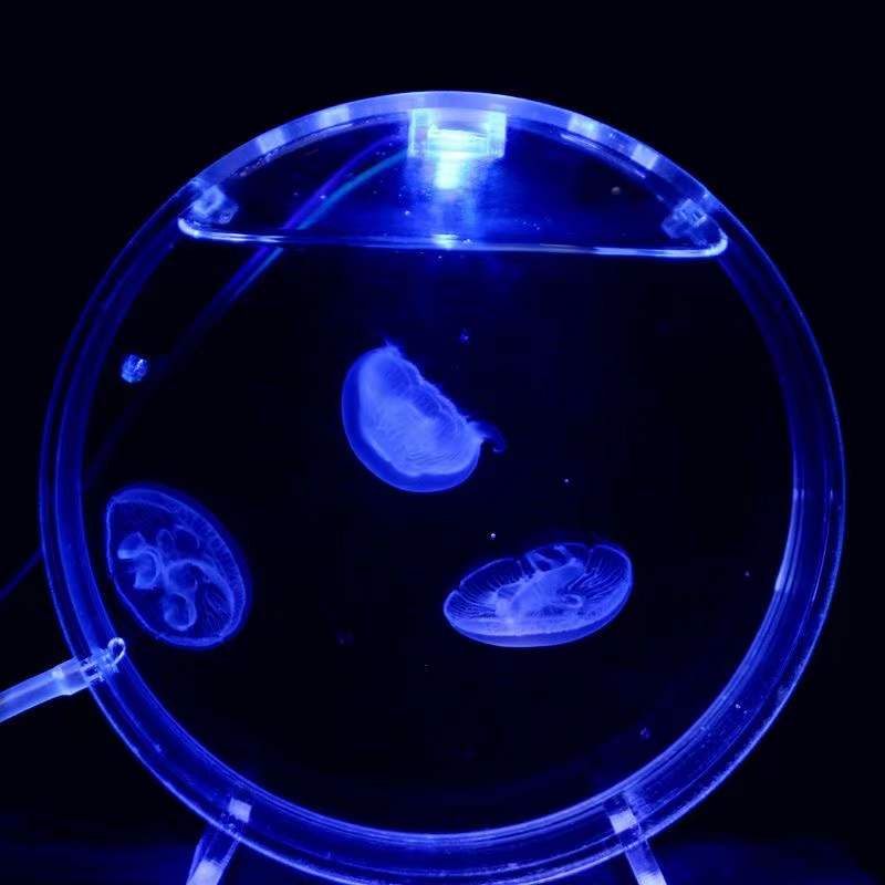 Aquarium desktop jellyfish tan – Aquarium Fish In Bowl Bewertung und Preis