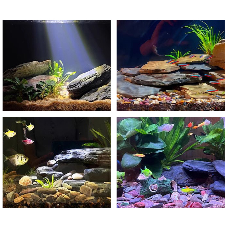 500/1000g Aquarium-Landschafts – Aquarium Fish Types Bewertung und Preis