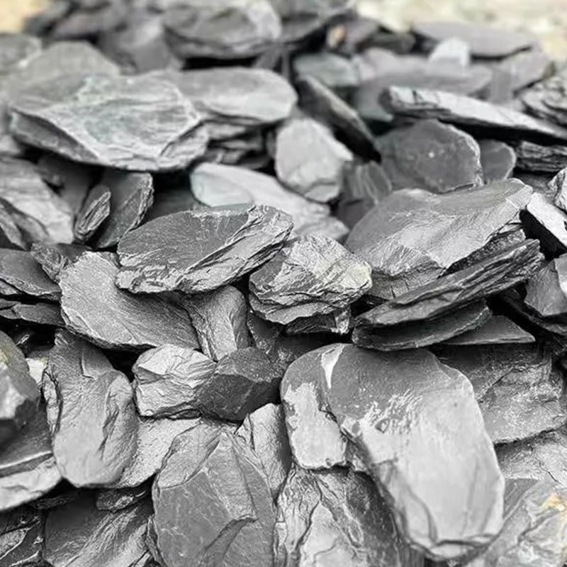 500/1000g Aquarium-Landschafts – Aquarium Fish Types Bewertung und Preis