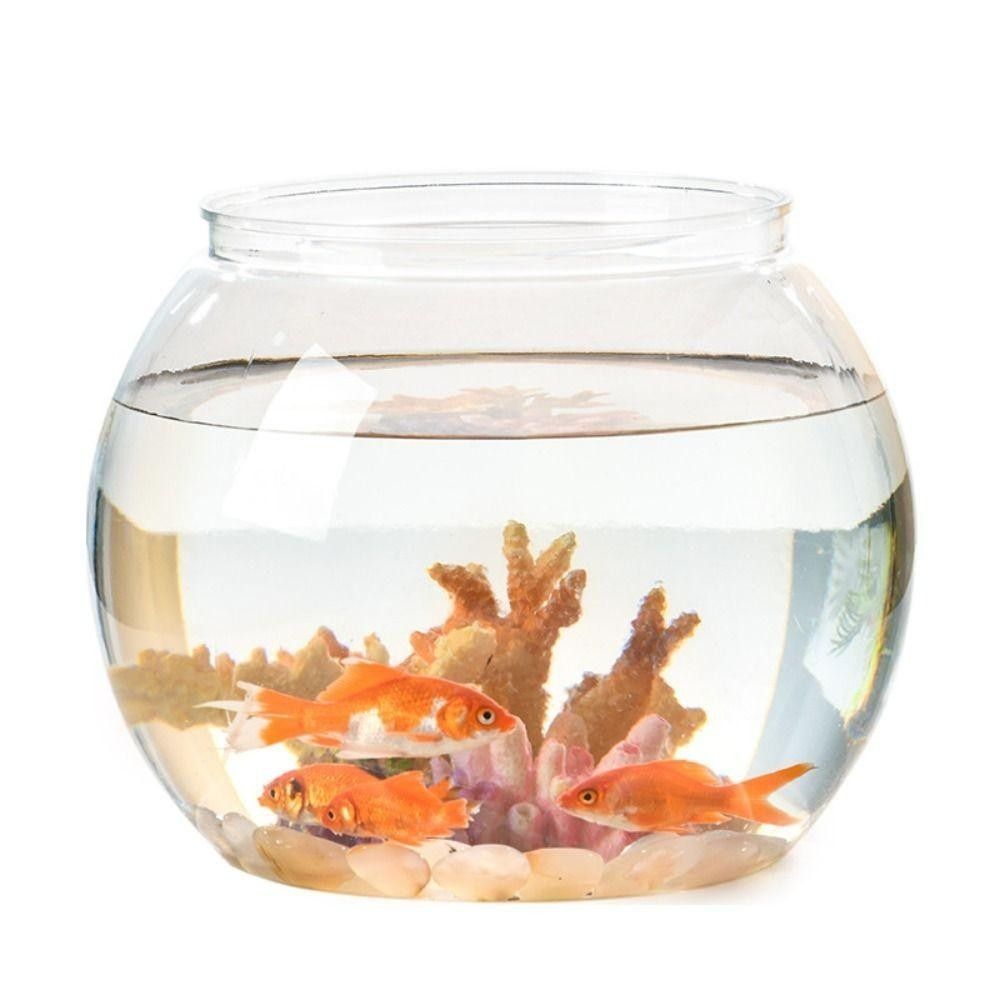 Neues transparentes Aquarium a – Aquarium Fish In Bowl Bewertung und Preis