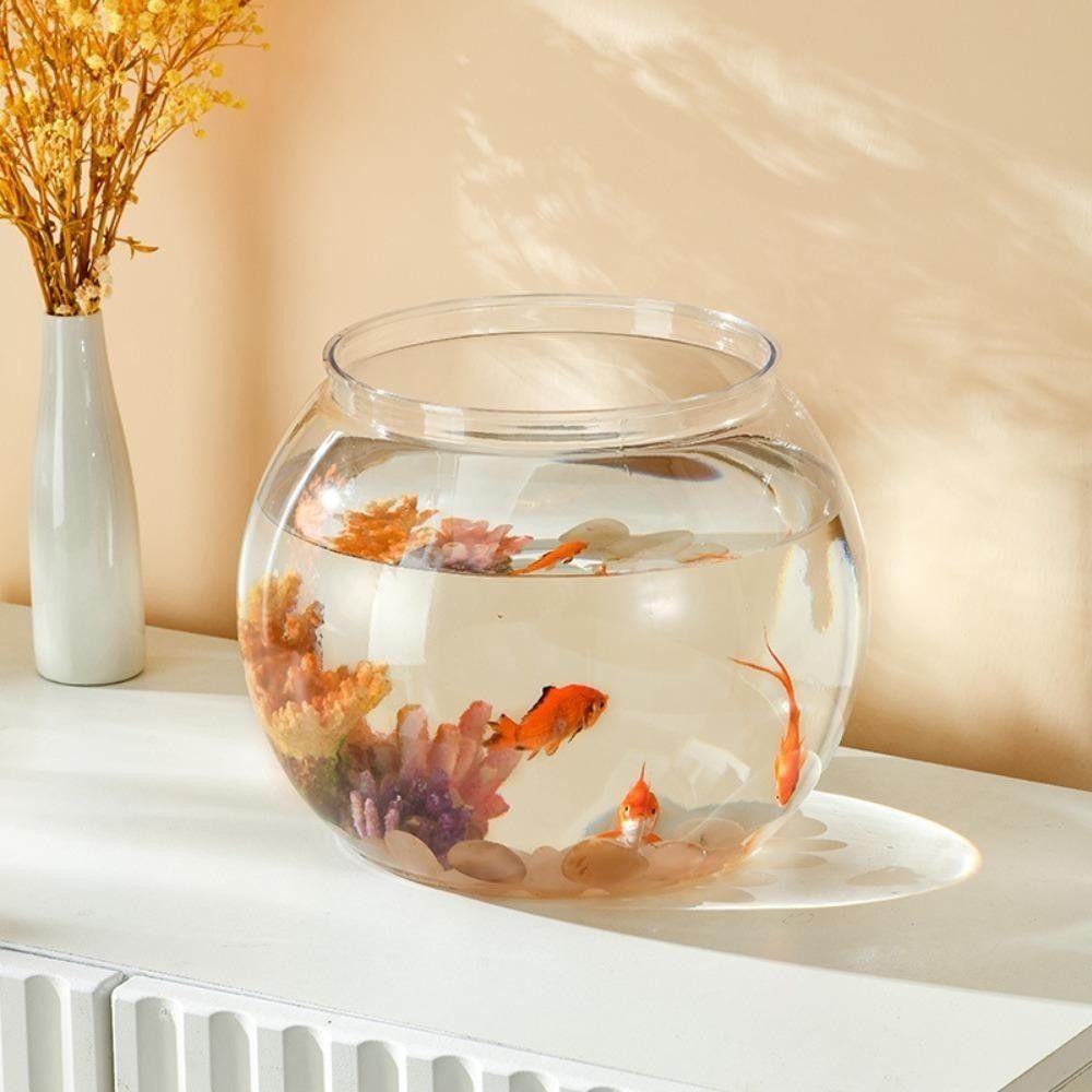 Neues transparentes Aquarium a – Aquarium Fish In Bowl Bewertung und Preis