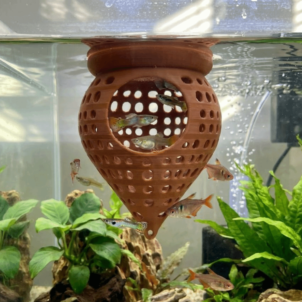 3D-Gedruckte Schwimmende Fisch – Aquarium Fish Food Bewertung und Preis