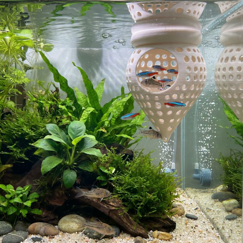 3D-Gedruckte Schwimmende Fisch – Aquarium Fish Food Bewertung und Preis