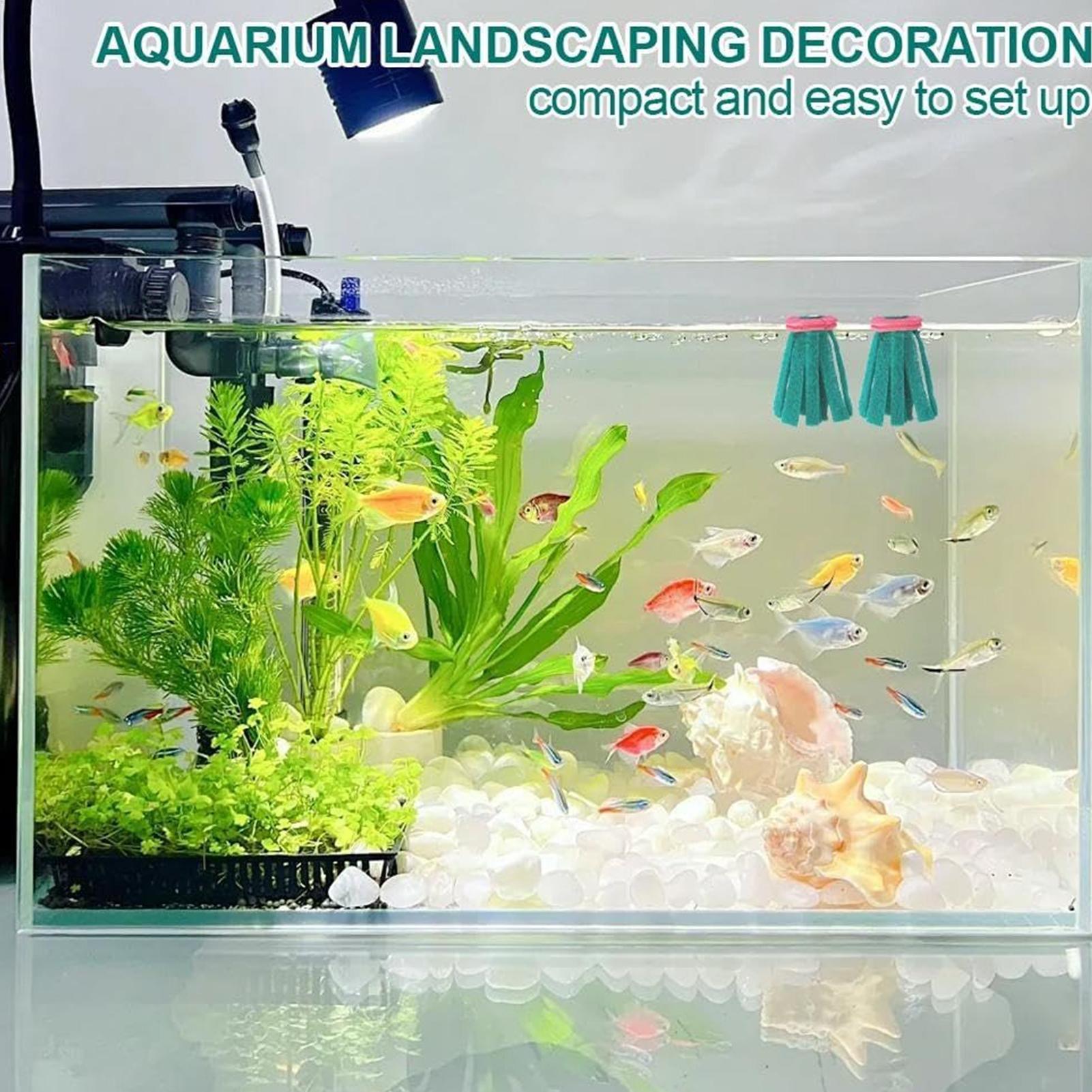 10 Stück Aquarium-Legenetz, de – Aquarium Fish Food Bewertung und Preis