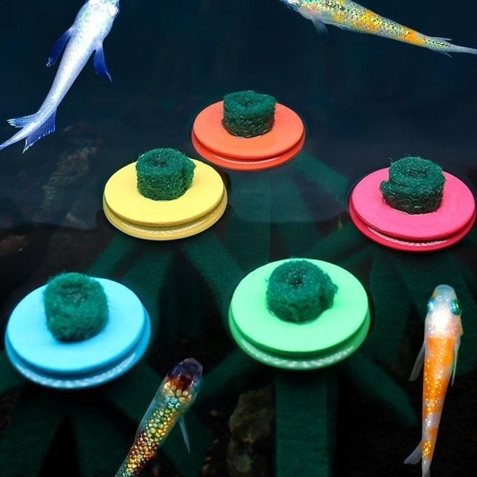 10 Stück Aquarium-Legenetz, de – Aquarium Fish Food Bewertung und Preis