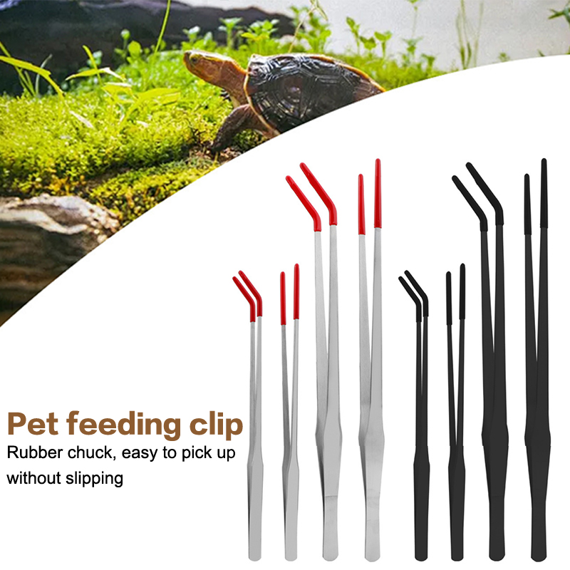 Edelstahl-Wartungswerkzeuge fü – Aquarium Fish Food Bewertung und Preis