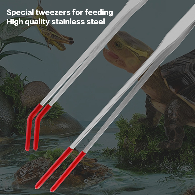 Edelstahl-Wartungswerkzeuge fü – Aquarium Fish Food Bewertung und Preis
