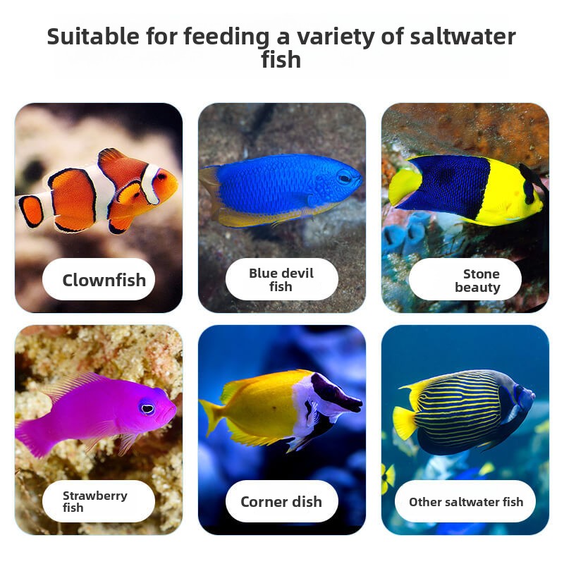 DEERA Clownfisch & Tang-Essen  – Aquarium Fish Food Bewertung und Preis