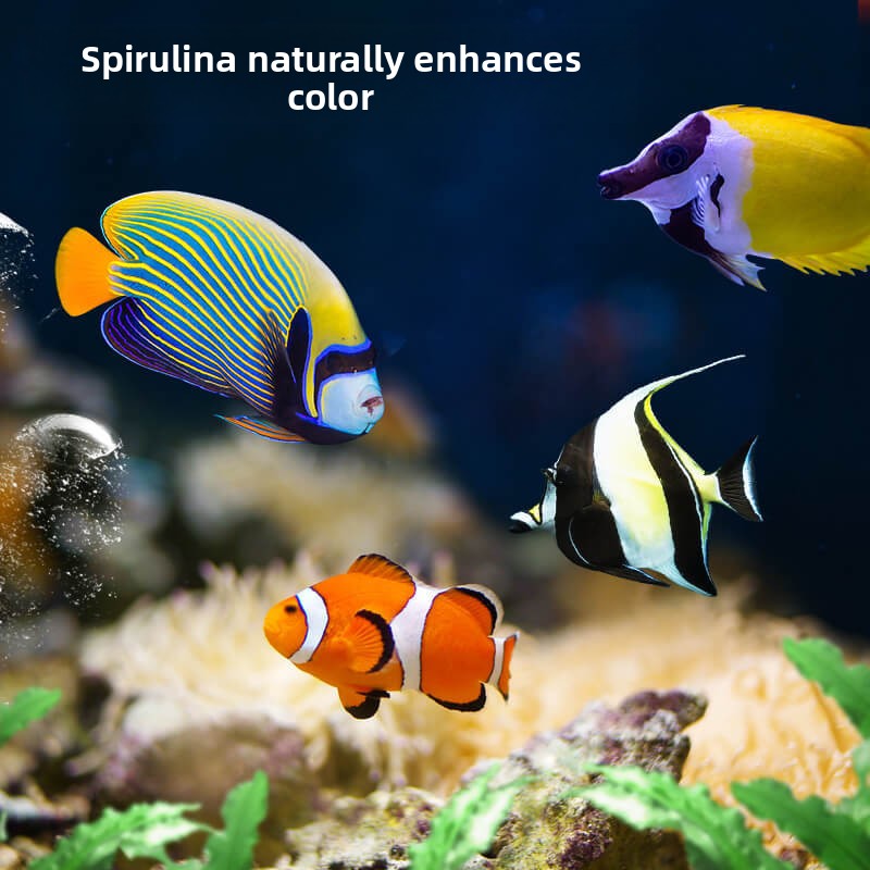 DEERA Clownfisch & Tang-Essen  – Aquarium Fish Food Bewertung und Preis