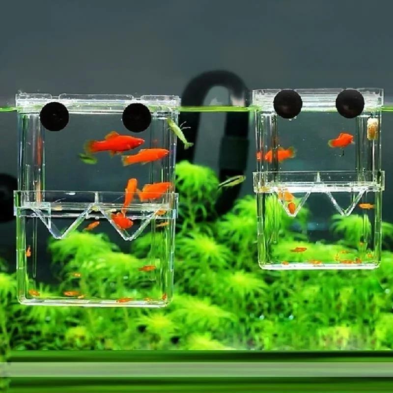 Transparente Fisch Aquarium Ho – Aquarium Fish In Bowl Bewertung und Preis