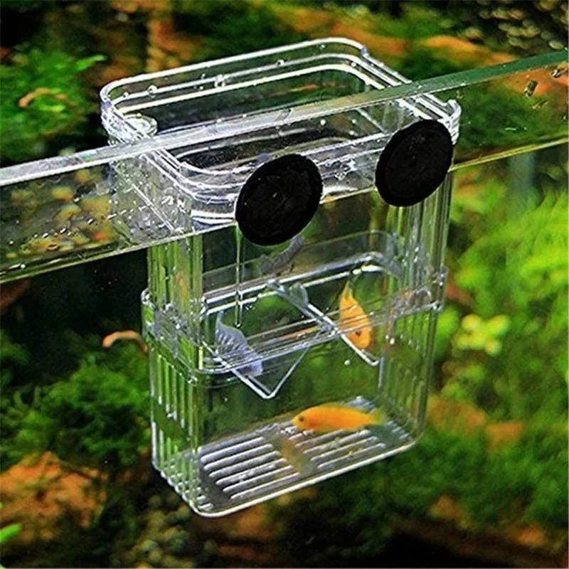 Transparente Fisch Aquarium Ho – Aquarium Fish In Bowl Bewertung und Preis
