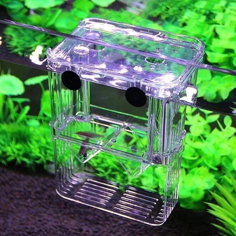 Transparente Fisch Aquarium Ho – Aquarium Fish In Bowl Bewertung und Preis