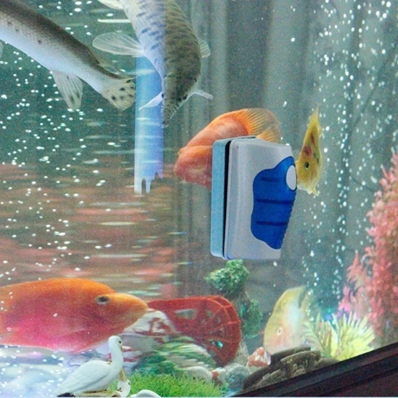 Aquarium Glas Schaber Reiniger – Aquarium Fish Maintenance Bewertung und Preis