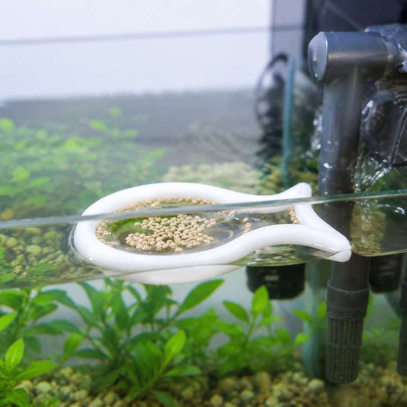 Fischförmiger Schwimmender Fut – Aquarium Fish Food Bewertung und Preis