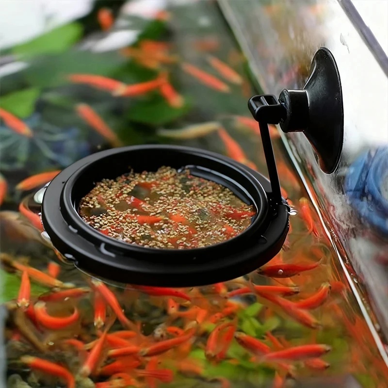 1/3 Stück Aquarium Fischfütter – Aquarium Fish Food Bewertung und Preis