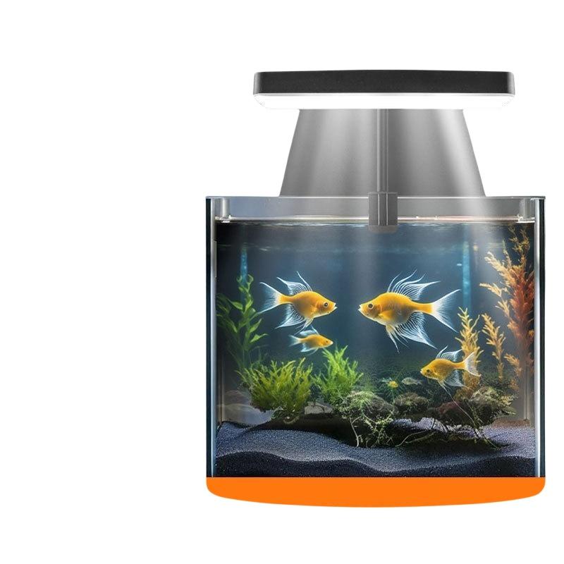 USB-Aquarium-Clipleuchte mit F – Aquarium Fish Tank Bewertung und Preis