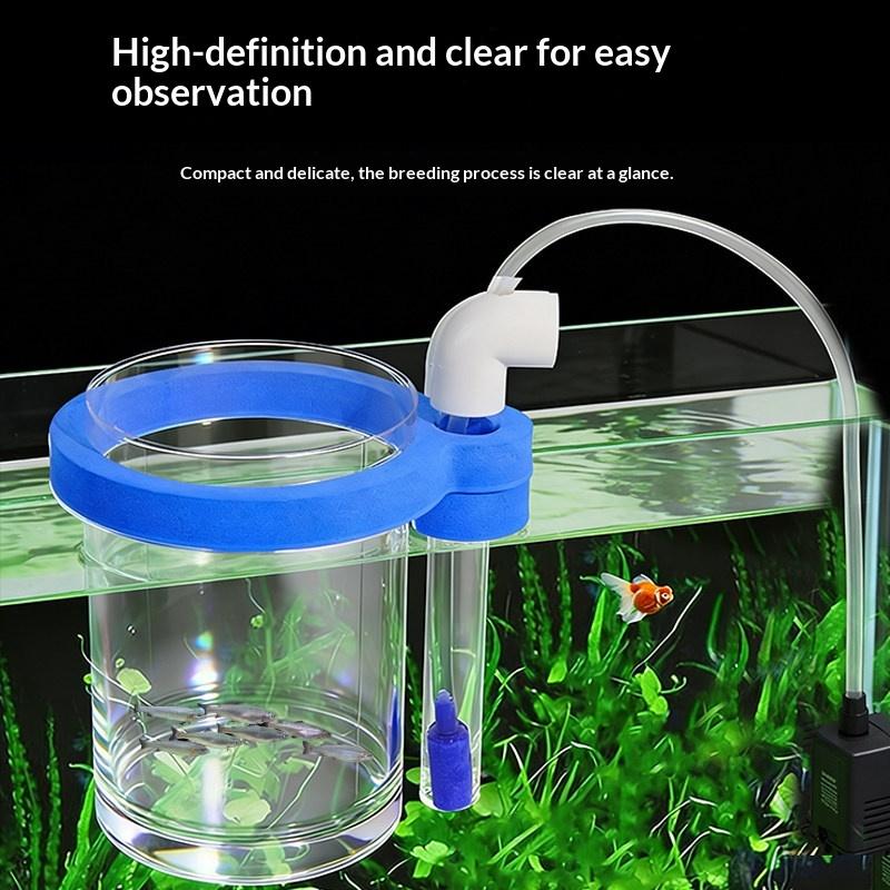 Transparente Acryl-Fischzuchtb – Aquarium Fish Food Bewertung und Preis