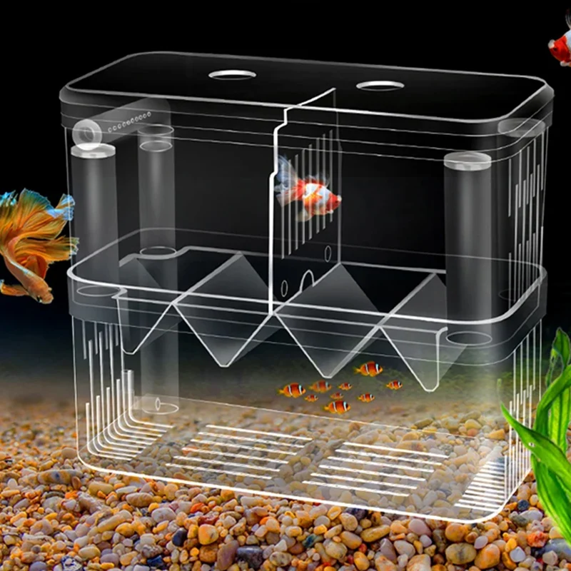 Fischzucht-Isolationsbox S/L/X – Xl Aquarium Fish Bewertung und Preis