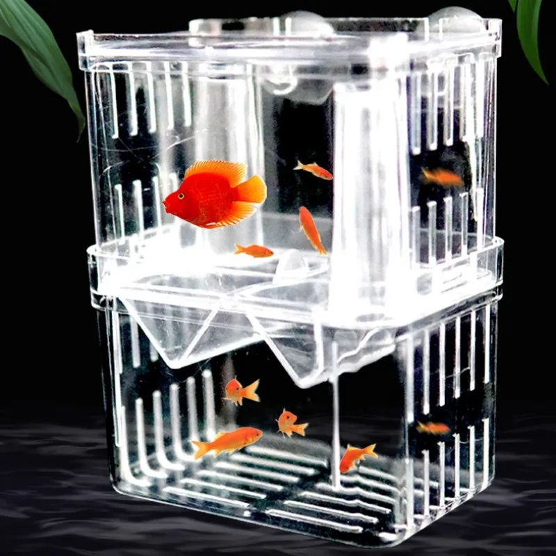 Fischzucht-Isolationsbox S/L/X – Xl Aquarium Fish Bewertung und Preis