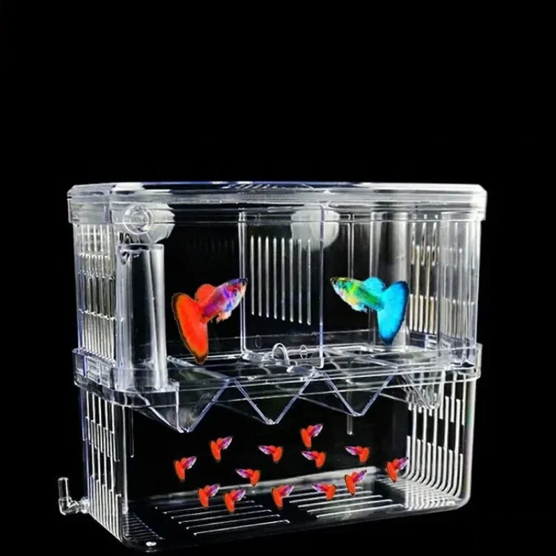 Fischzucht-Isolationsbox S/L/X – Xl Aquarium Fish Bewertung und Preis