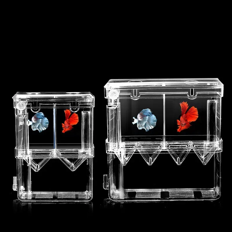 Fischzucht-Isolationsbox S/L/X – Xl Aquarium Fish Bewertung und Preis