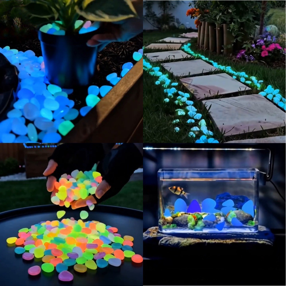 Bunte, im Dunkeln leuchtende K – Aquarium Fish Items Bewertung und Preis