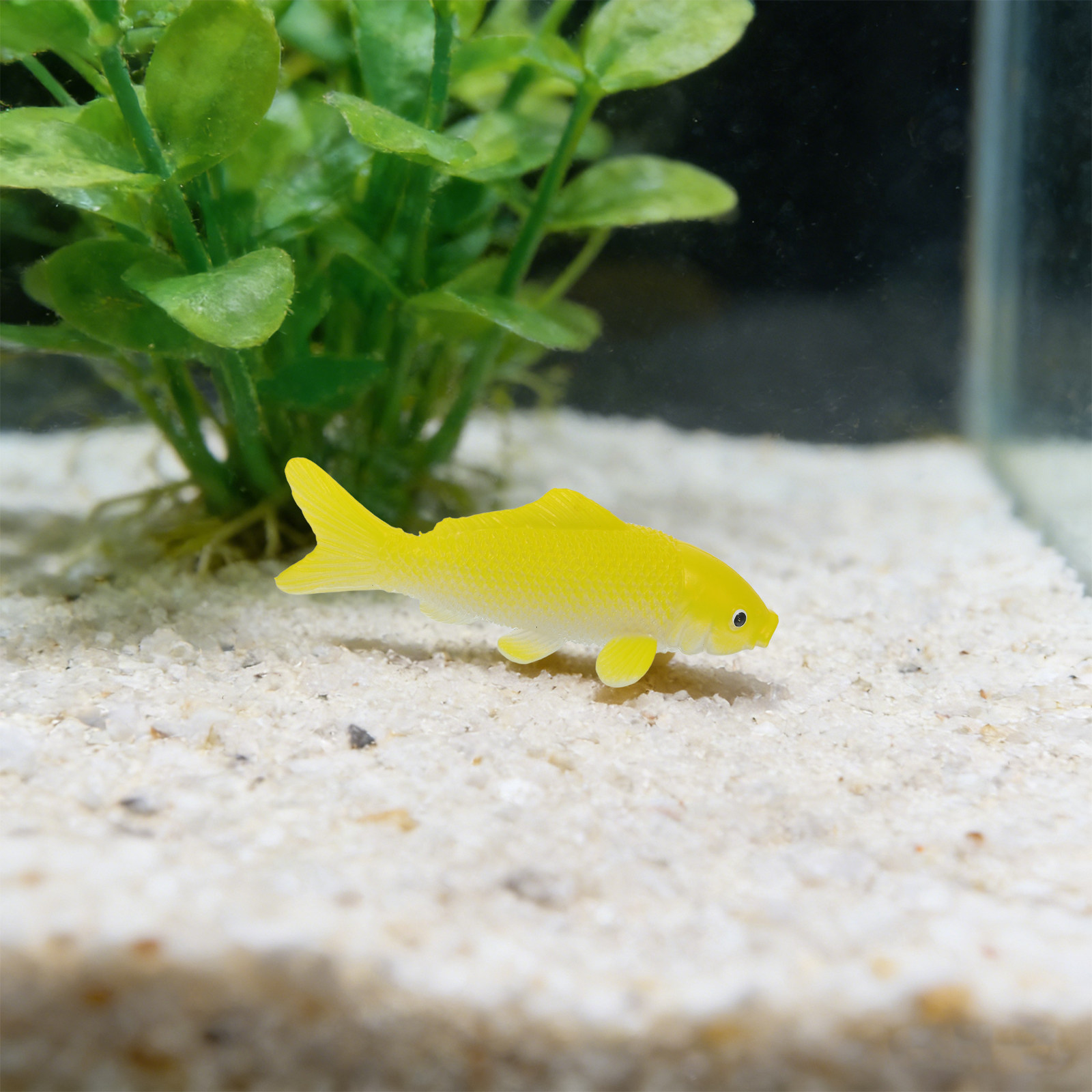 3-teiliges Fisch-Kunsthandwerk – Aquarium Fish Pond Bewertung und Preis