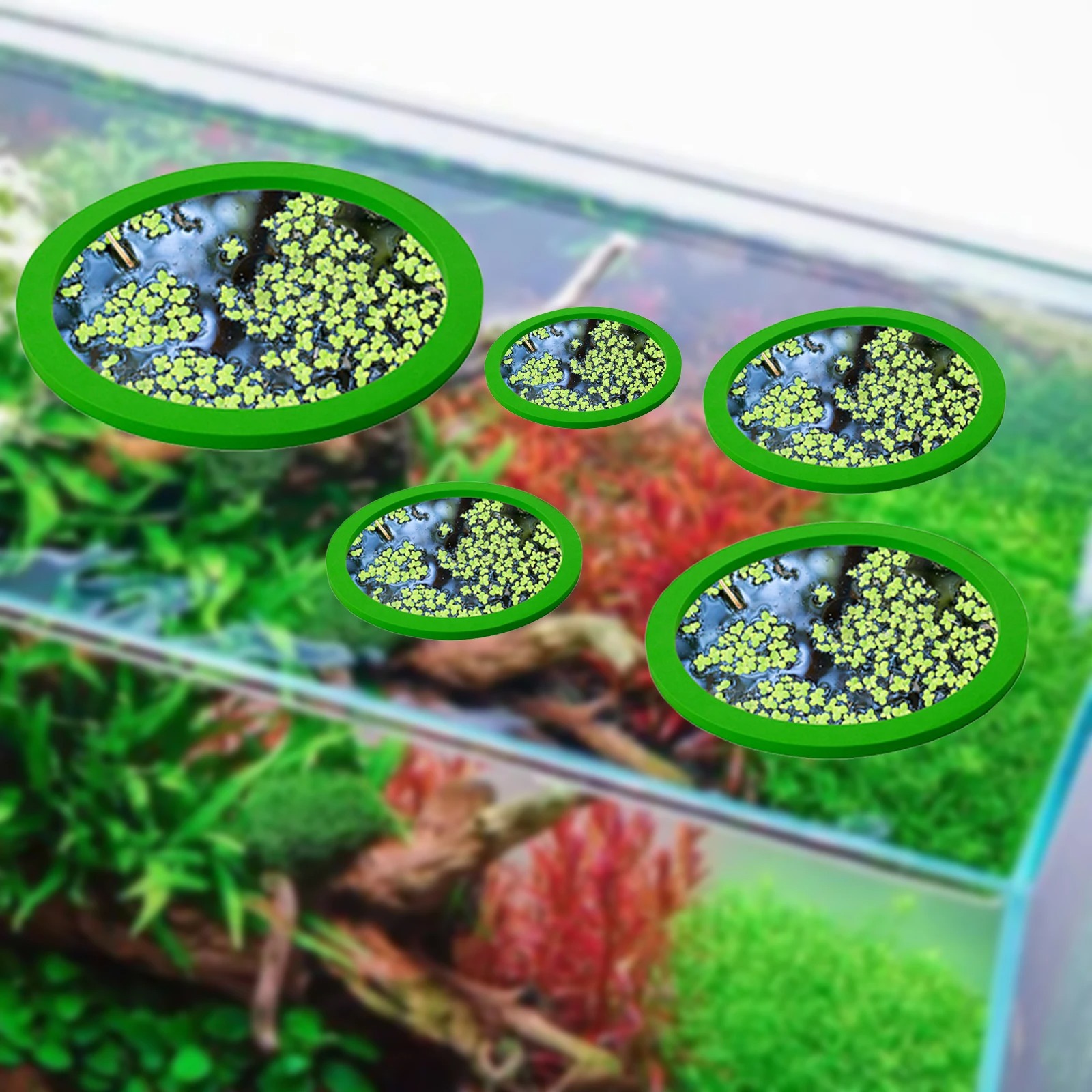 5Pcs EVA Fisch Fütterung Ring  – Aquarium Fish Tank Bewertung und Preis