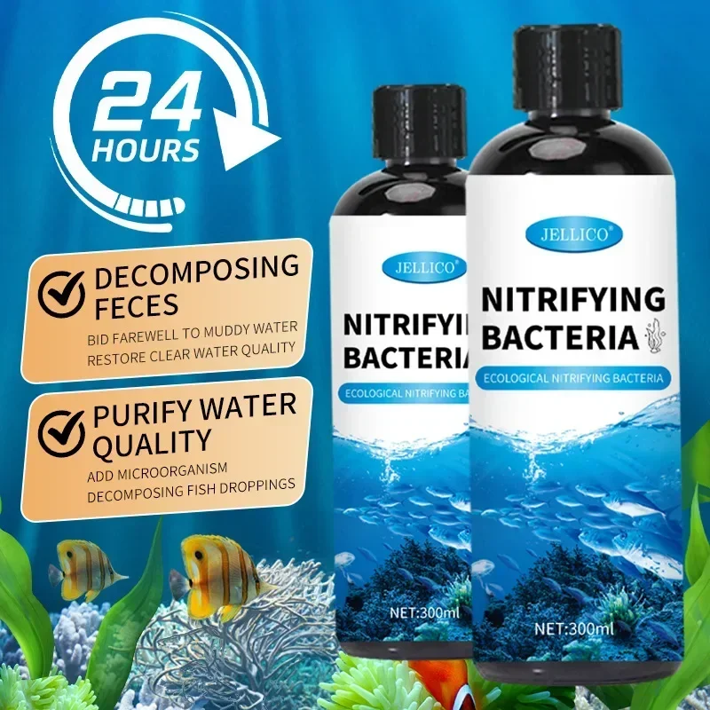Nitrifizierende Bakterien Flüs – Aquarium Fish Items Bewertung und Preis