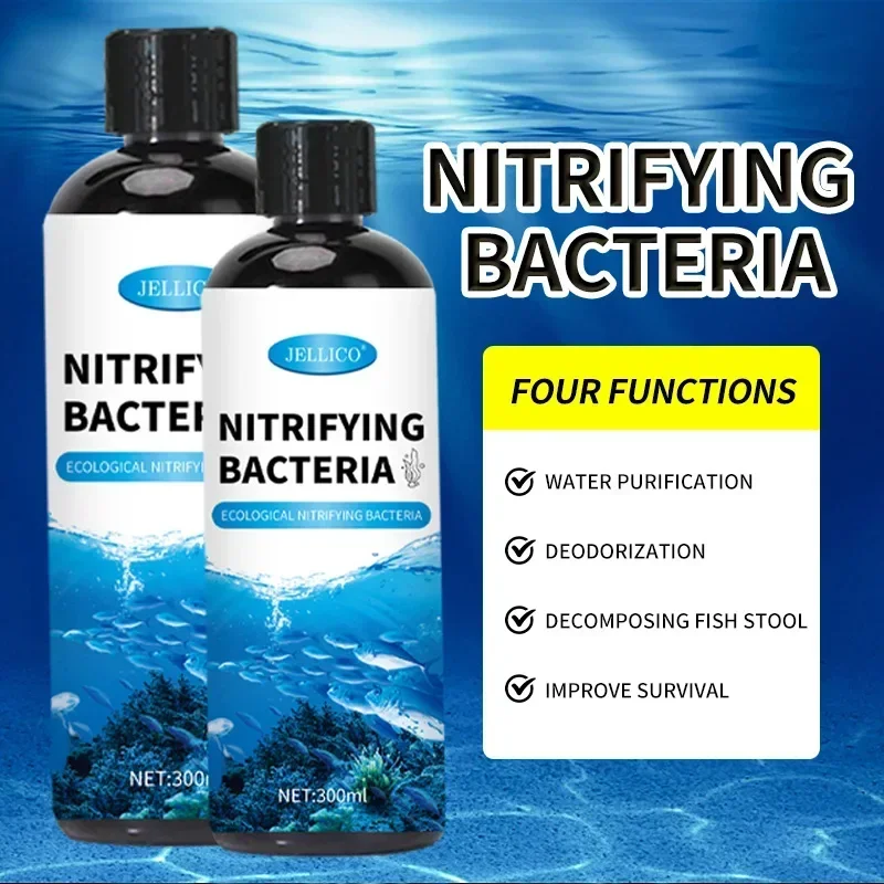 Nitrifizierende Bakterien Flüs – Aquarium Fish Items Bewertung und Preis