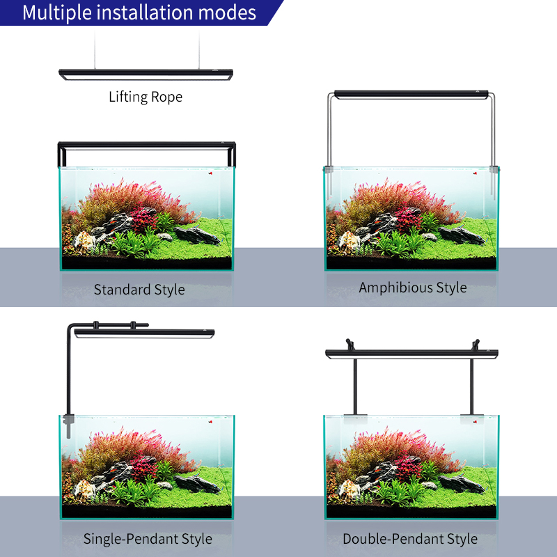 V300SE Bestpreis 30-40cm Süßwa – Aquarium Fish And Price Bewertung und Preis