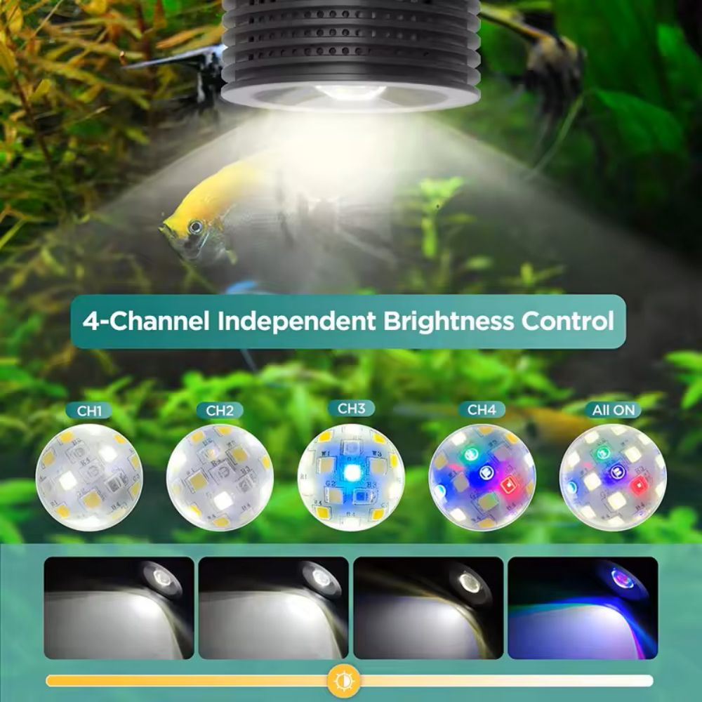 Lominie Asta 20 Süßwasser 18W  – Refugium Light Nano Bewertung und Preis