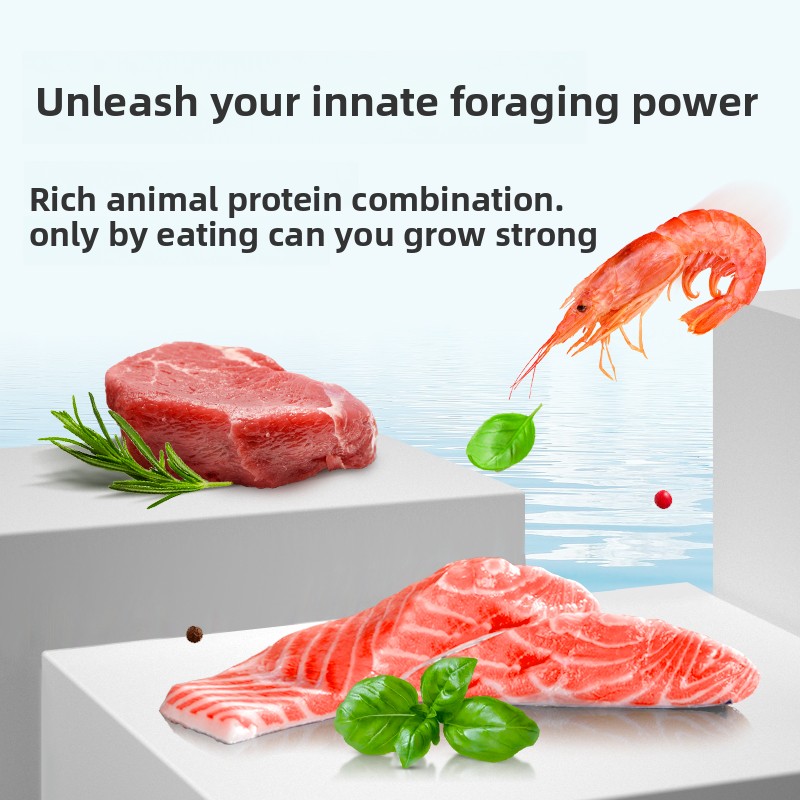 Spezialisiertes Fischfutter fü – Aquarium Fish Food Bewertung und Preis