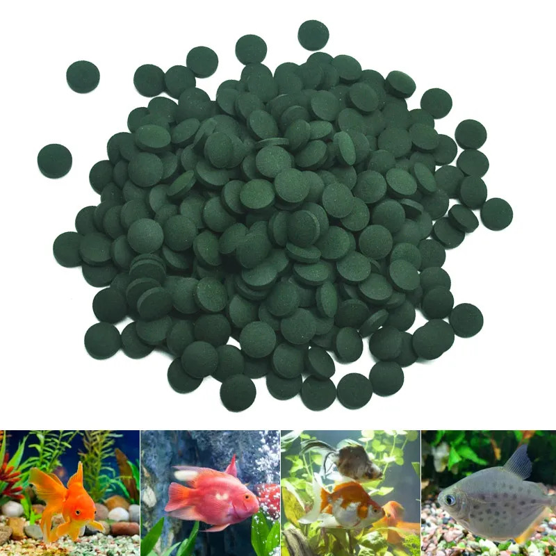 50–300 Stück hochreine Spiruli – Aquarium Fish Food Bewertung und Preis