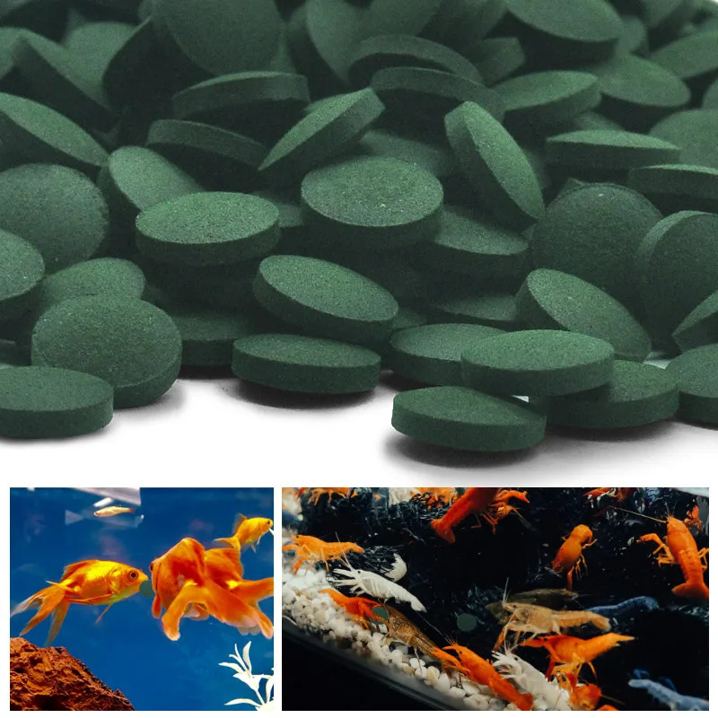 50–300 Stück hochreine Spiruli – Aquarium Fish Food Bewertung und Preis