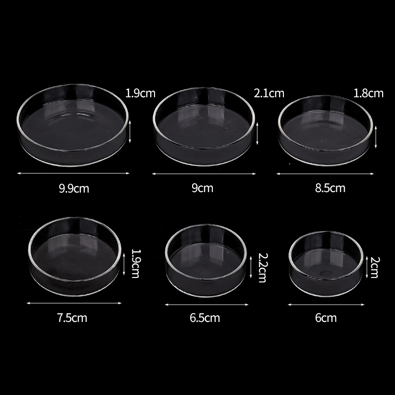 Garnelen Futternapf Hohe Trans – Aquarium Fish Food Bewertung und Preis