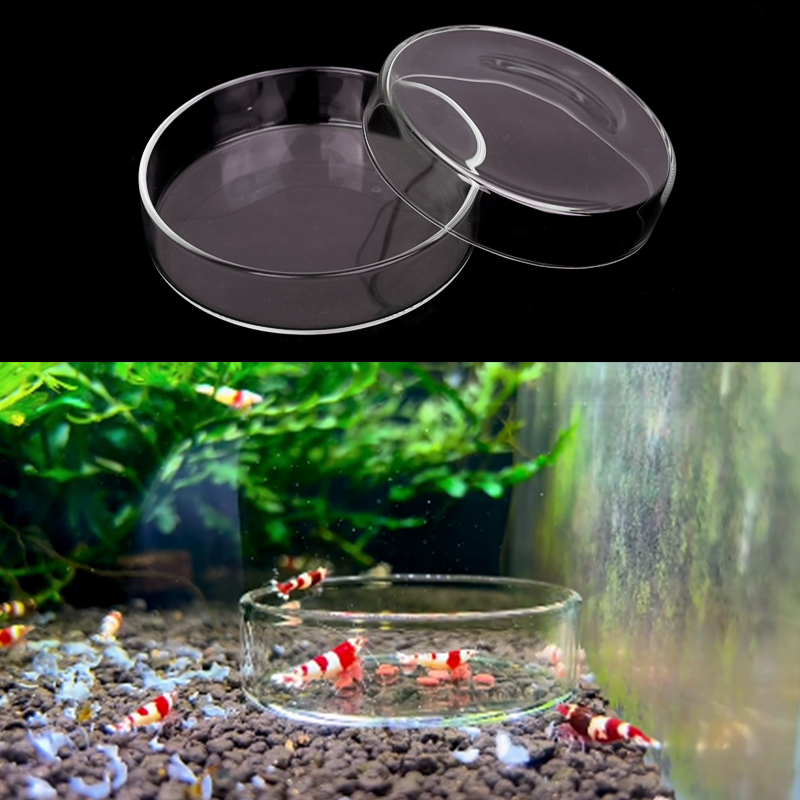 Garnelen Futternapf Hohe Trans – Aquarium Fish Food Bewertung und Preis