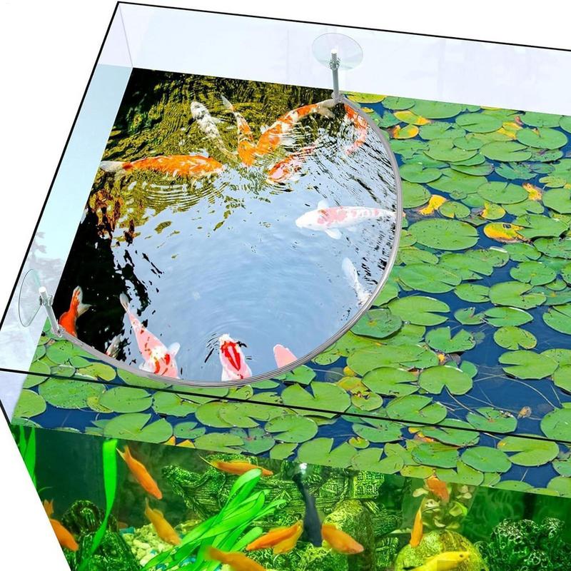 Floating Plant Corral Fish Fee – Aquarium Fish Food Bewertung und Preis