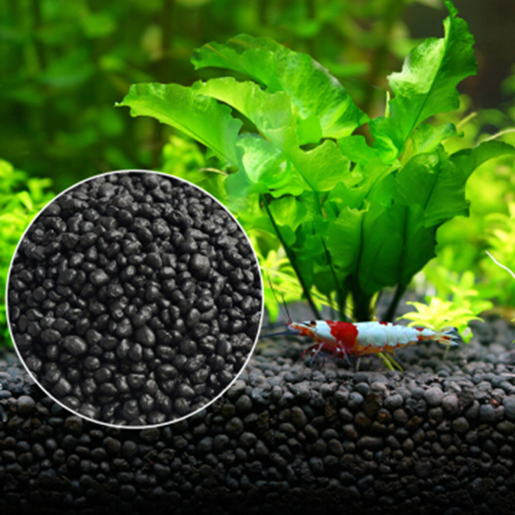 Aquarium Pflanzen Samen Boden  – Aquarium Fish Items Bewertung und Preis