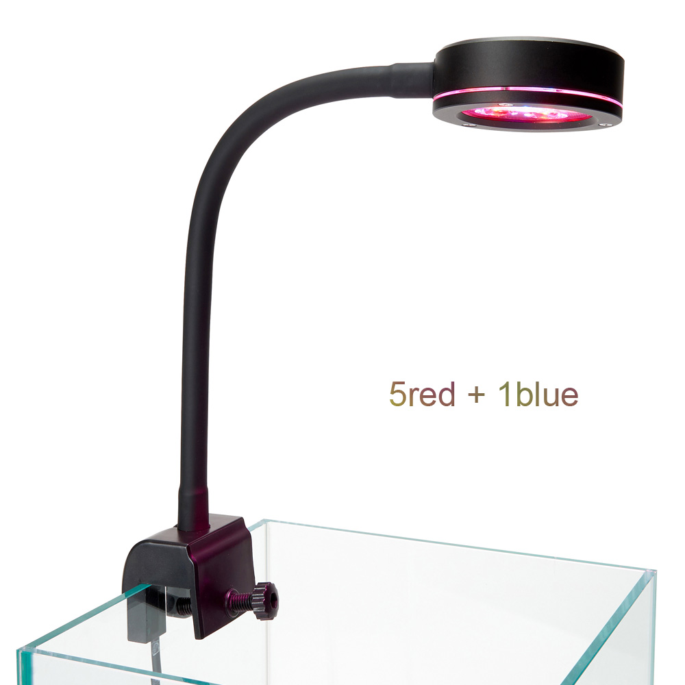 Neue nano 6 x3w pico aquarium  – Refugium Light Nano Bewertung und Preis